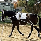The Ultimate Horse Lunging Training Aid System Lunge Equipment (Cob/Horse, Black)