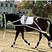 Hunters Saddlery Ultimate Horse Lunging Training Aid System Lunge Equipment - Pony, Cob/Horse, Draft Size