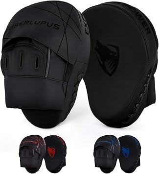 best focus mitts for muay thai