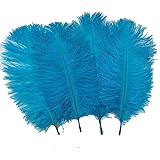 ADAMAI 10PCS Natural 7.8-9.8inch Ostrich Feathers