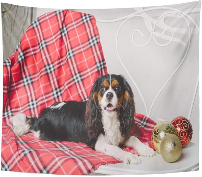 N\A Schwarzer entzückender Kavalier König Charles Spaniel Hund