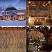 LED Concepts STR-CRTN-WW 300 Icicle Curtain String 8 Lighting Modes and UL Listed Power Supply, Warm White
