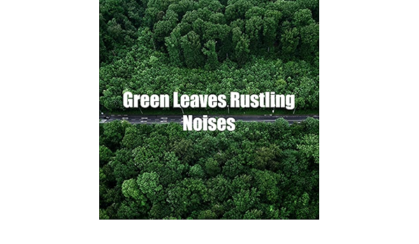 Green Leaves Rustling Noises By Nature Sounds Backgrounds On Amazon Music Amazon Com