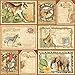 Graphic 45 4501375 Safari Adventure Ephemera Cards