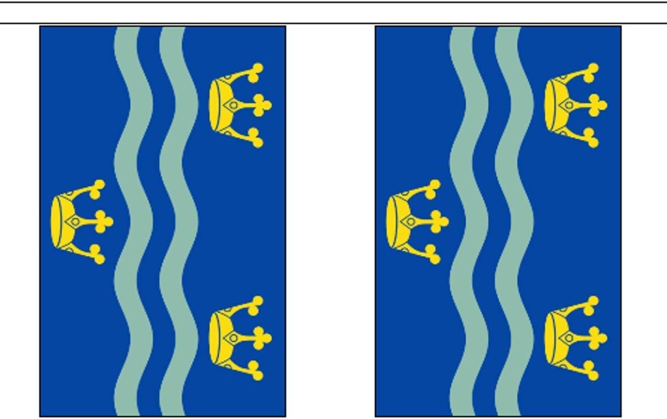 World Flag Shop Cambridgeshire Bunting 20 Flags 6 Metres Cambridge County Banner