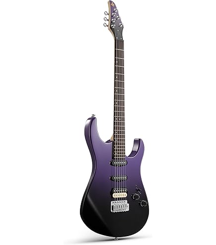 WASHBURN エレキギター パープル 6弦 WASHBURN エレキギター パープル 6弦 WASHBURN エレキギター パープル