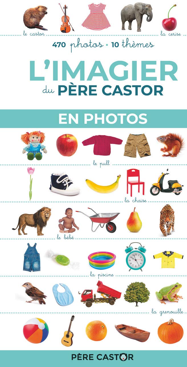 L Imagier Du Pere Castor En Photos 470 Photos 10 Themes Les Imagiers Du Pere Castor Telier A Amazon Es Libros