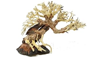 AWAWOOD Driftwood Aquarium Tree AS Random Pick (6in H x 8in L) Natural, Handcrafted Fish Tank Decoration | Easy to Install