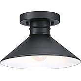 Westinghouse 6112900 Watts Creek 11 Inch Rustic/Arts & Crafts One-Light Outdoor Semi Flush Mount Ceiling Light, Dark Sky Frie