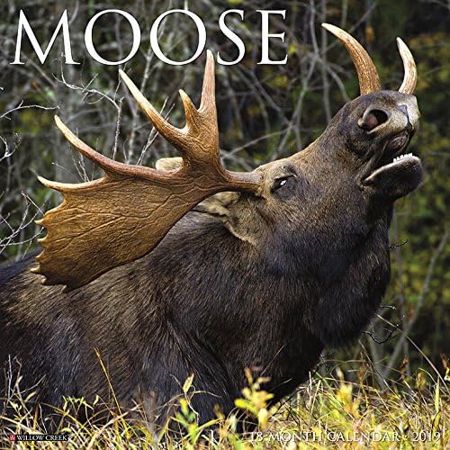 Moose 2019 Wall Calendar