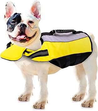 Petcute Gilet De Sauvetage Chien Bouee Pour Chien Gilet De Flottaison Pour Animaux De Compagnie Veste De Natation Taille Moyenne Reflechissant Float Coat Amazon Fr Animalerie