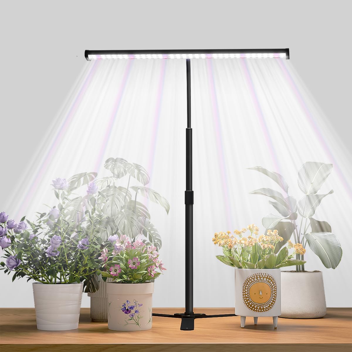 Photo 1 of Super-Bright Grow Light for Indoor Plants, 6000K 108LEDs Full Spectrum Plant Lamp with Timer 4/8/12Hrs & Height Extendable for Home Office Desktop Plants, 12V 3A High Power Output for Faster Growth