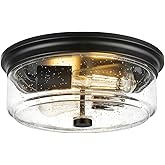 FOITTON Black Flush Mount Ceiling Light, 12 Inch 2-Light Industrial Farmhouse Ceiling Light Fixture with Seeded Glass Shade, 