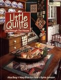 Little Quilts All Through the House (Designer Series) by Alice Berg, Sylvia Johnson