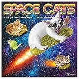 2020 Space Cats Wall Calendar by 