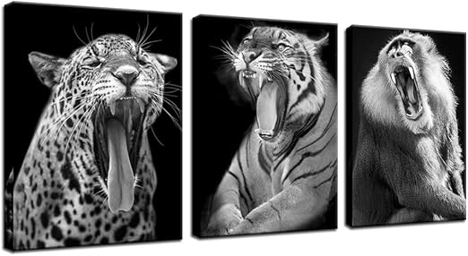 Amazon Com Biuteawal Black And White Animal Wall Art Painting