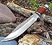 Survival Cherry Wood Hunting Bowie Knife 10.5 Inch Fixed Blade with Sheath Jwd28