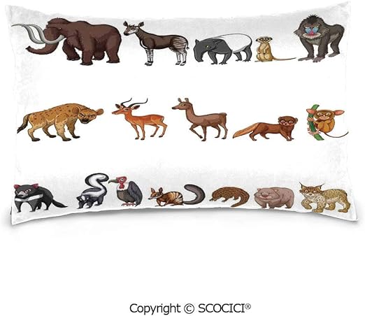 all about rare animals | unique animals and more....: Rare Animals With