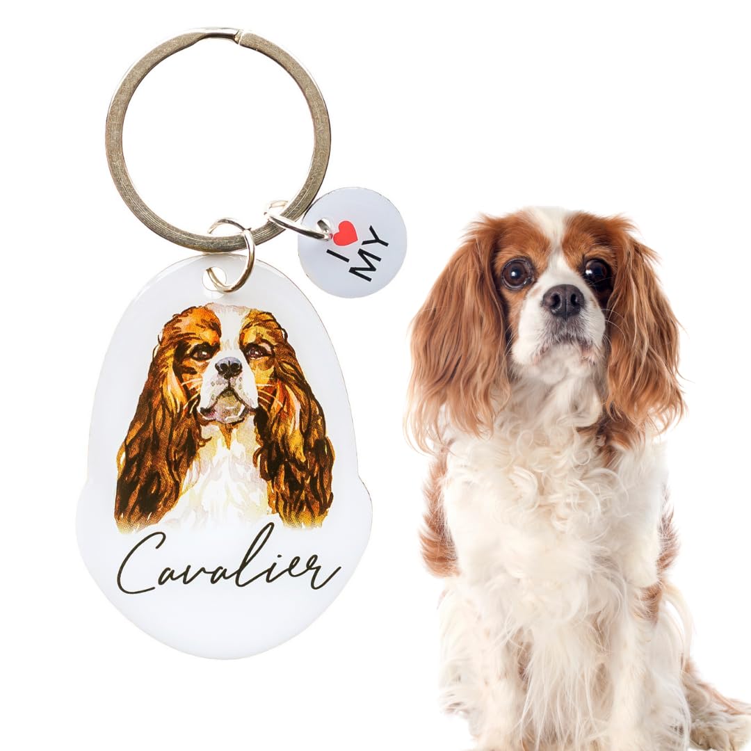Splosh Pet Keyring Cavalier - Personalised Dog Key Ring and Chain - Customised Gifts for Dog Lovers - Accessories and Key Tags (PTK003)