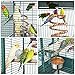 Yaheetech 62-inch Wrought Iron Rolling Large Bird Cages for African Grey Mid-Sized Parrots Cockatiels Indian Ring Neck Sun Parakeet Green Cheek Conure Lovebird Budgie Finch Canary Bird Cage with Standthumb 4