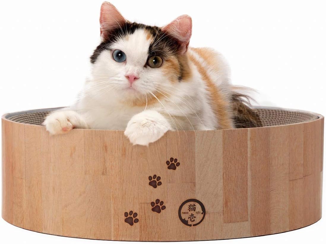 necoichi cozy cat scratcher bowl