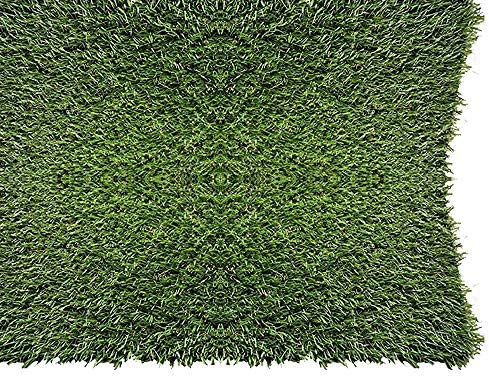 PZG 1-inch Artificial Grass Patch w/Drainage Holes & Rubber Backing | 4-Tone Realistic Synthetic Grass Mat | Heavy & Soft Pet Turf | Lead-Free Fake Grass for Dogs or Outdoor Décor