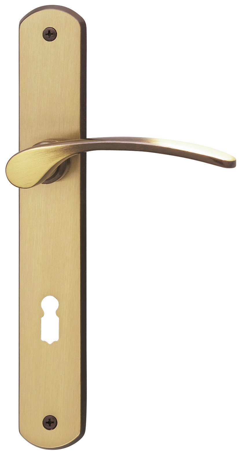 ALPERTEC Amos LS Burnished Brass – for Interior Doors Door Handle Set Door Fittings Door Handle on Backplate (32740063