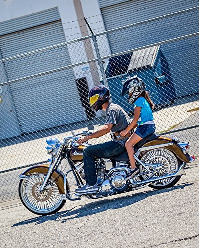 Grip-n-Ride Street Art Collection Wicked Angel Belt (One Size)