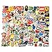 STICON 100 Pieces Vinyl Waterproof Stickers for Car, Laptop, Luggage, Skateboard, Motorcycle, Bicycle Decal Graffiti Patches (Series A)