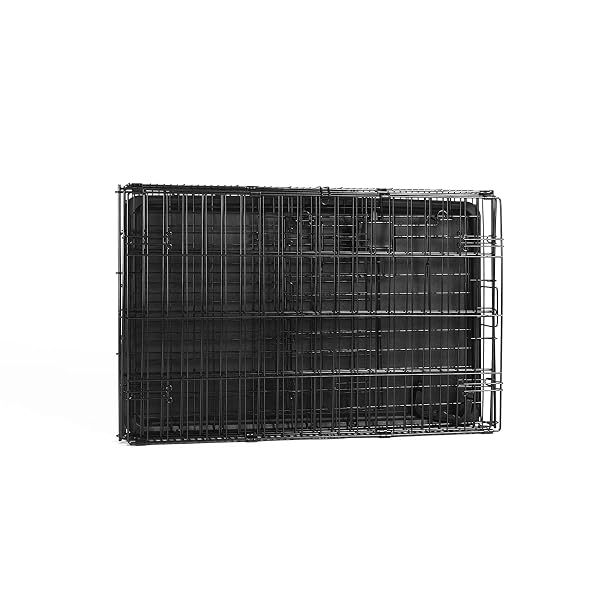 AMAZON BASICS PORTABLE, FOLDABLE METAL WIRE DOG CRATE WITH REMOVABLE TRAY, SINGLE DOOR, DIVIDER PANEL, QUICK SETUP, 30 X 19 X 21 IN, BLACK