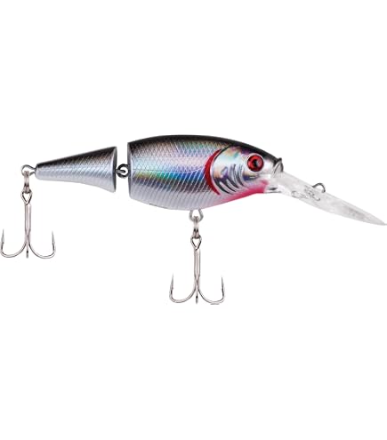 Leurre Articulé Shad Leurre De Pêche Rapala Jointed Shad Rap 05 – 5,1 Cm – Couleur Hot Tiger – Action Articulée Et Hochet JSR05 5.1 Cm Leurre Articulé Shad Leurre De Pêche Rapala Jointed Shad Rap 05 – 5,1 Cm – Couleur Hot Tiger – Action Articulée Et Hochet JSR05 5.1 Cm