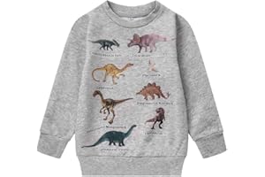 Popshion Toddler Boy Crewneck Sweatshirt Dinosaur Shirts Long Sleeve Cartoon Pullover Sweater for Kids