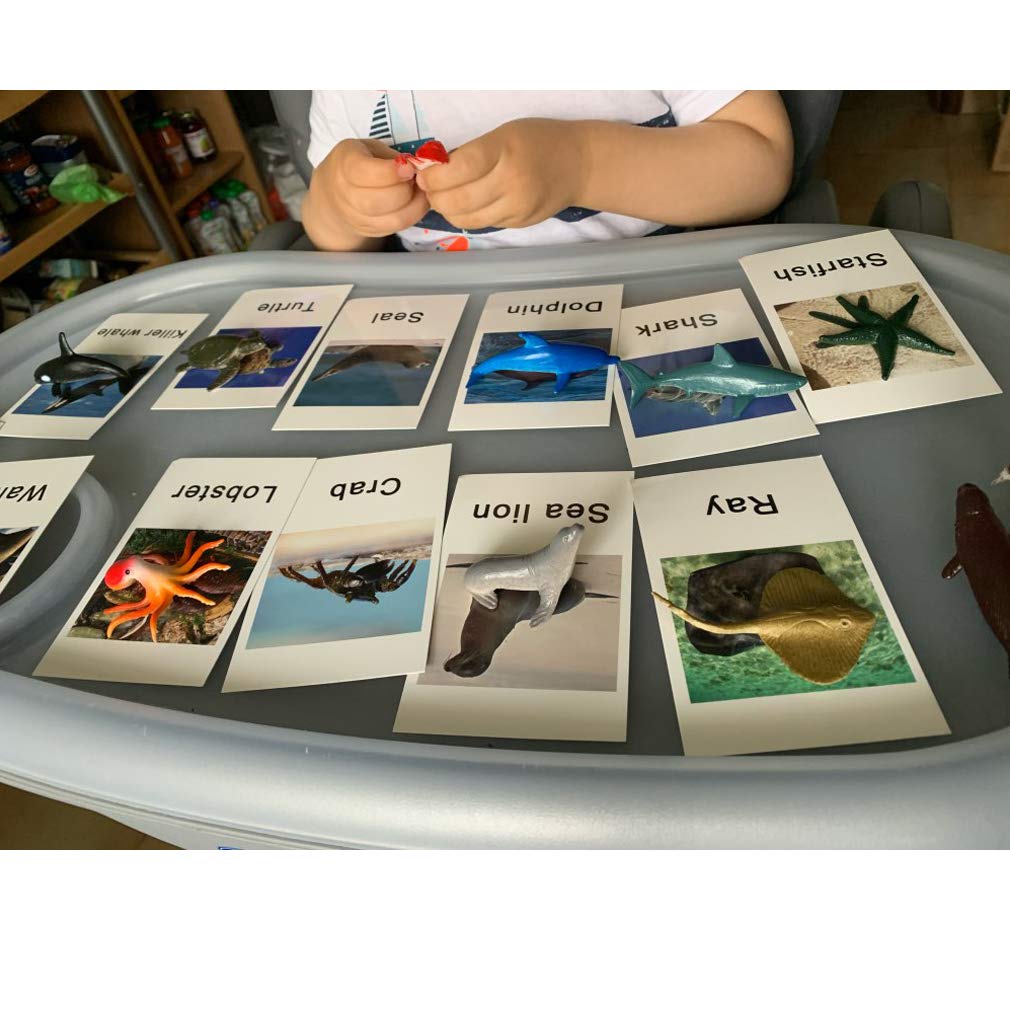 MEROCO Montessori Animal Match Game Cards Marine Animal Matching Montessori Language Materials Toddlers Preschool Educational Learning Toys NEWT011