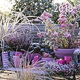 2018 Garden & Decoration Calendar - Grid Calendar - 30 x 30 cm by 