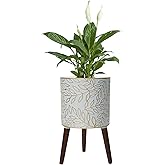 Opnons 12inch Plant Pots with Wood Planter Holder Indoor Flower Pot with Gold Floral Embossed Modern Planters with Drainage Holes for Living Room, Office, Garden or Balcony