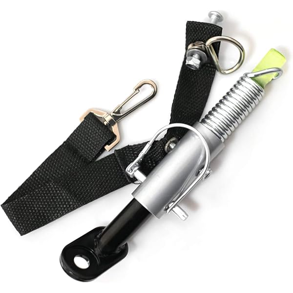 8-Quart Digital Air Fryer