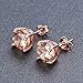 925 Sterling Rose Gold Colour Cubic Zirconia Royal JourneyJewelry Eternity Stud Earring women's best Gifts