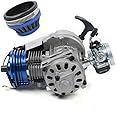 Engine Motor 49CC 2 Stroke Racing Complete Engine Motor Pull Start Motorized Bike Engine Kit for Pocket Bike Mini Dirt Bike ATV Scooter (Racing Complete Engine)