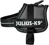 Julius-K9 Powerharness 3XS Baby Anthracite Chest 29-36 cm 0.8-3 kg view 2