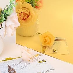Enoin 1Pack 8 x 12 Inch Gold Mirror
