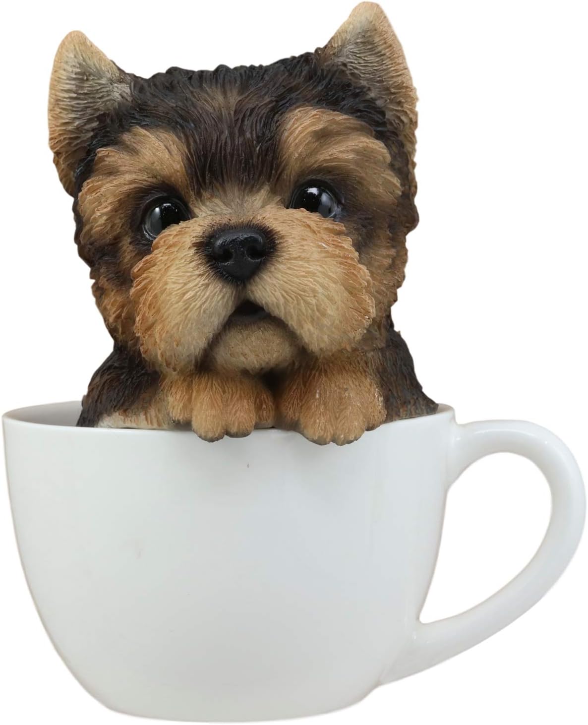 pedigree yorkshire terrier