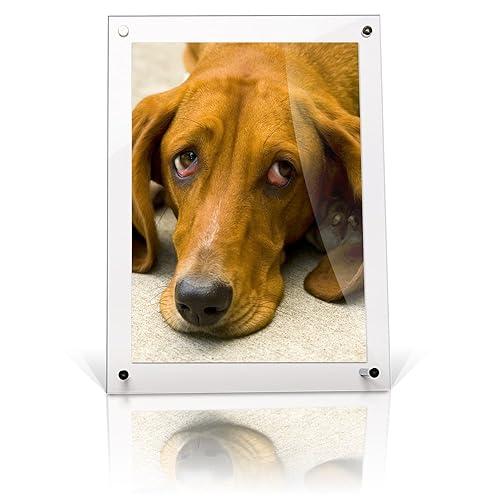 A5 Acrylic Photo Frame Amazon.co.uk Kitchen & Home
