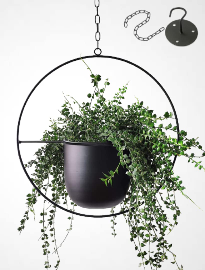 Photo 1 of Shineloha Hanging Planters for Indoor Plants with 5.5" Pot + Ceiling Hook + Extender Chain | Hanging Plant Holder, Metal Minimalist Planter, NO Plant incld