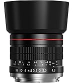 Amazon.com : Sigma 17-50mm f/2.8 EX DC OS HSM FLD Large Aperture