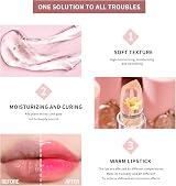 HOPHAT Flower Jelly Lipstick 6Pcs Color Change Lip Balm Set view 6