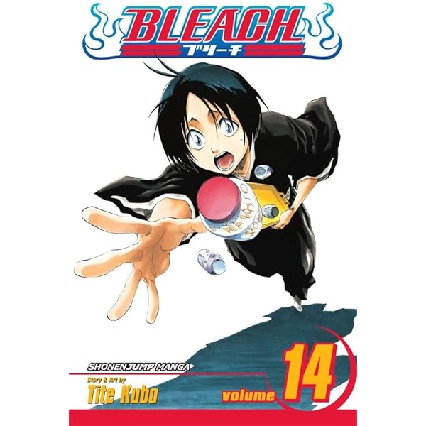 Amazon.com: Bleach, Vol. 11: A Star and a Stray Dog eBook : Kubo