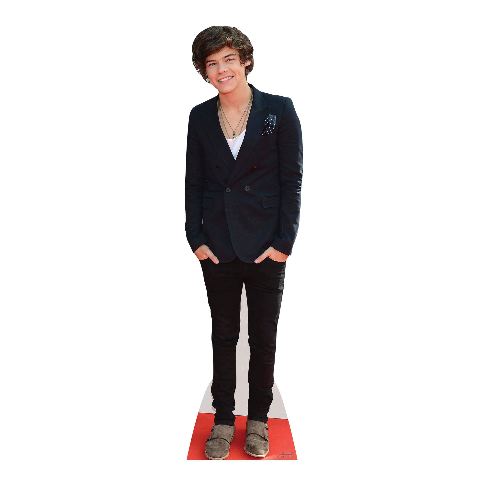 STAR CUTOUTS CS573 Lifesize Cutout of Harry Singer Songwriter 166cm Tall โ image 1