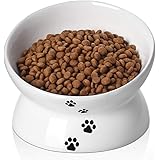 Y YHY Cat Bowl,Raised Cat Food Bowls Anti Vomiting,Tilted Elevated Cat Bowl, Ceramic Pet Food Bowl for Flat Faced Cats, Small