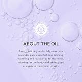 Tisserand Lavender Organic Essential Oil 9ml Massage Diffuser Skin Oil view 3