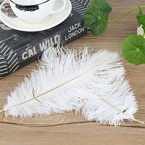 SNKYY 50PCS/Set 25-30CM Long Ostrich Feathers DIY Wedding Party Decorative Feathers